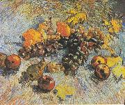 Vincent Van Gogh Still Life with Grapes, apples, lemons and pear France oil painting artist